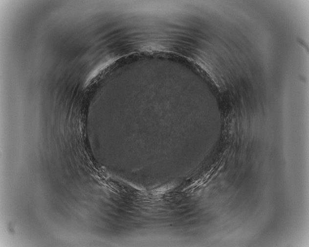 X0000098020919200804111254