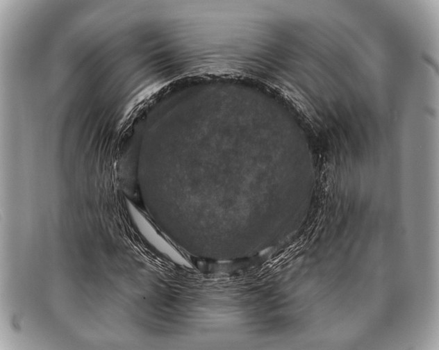 X0000098020920200804111254