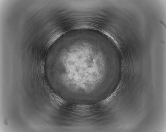 X0000098020921200804111254