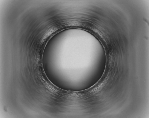 X0000098020922200804111254