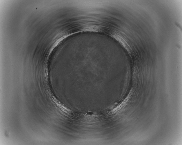 X0000098020923200804111254