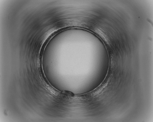 X0000098020924200804111254