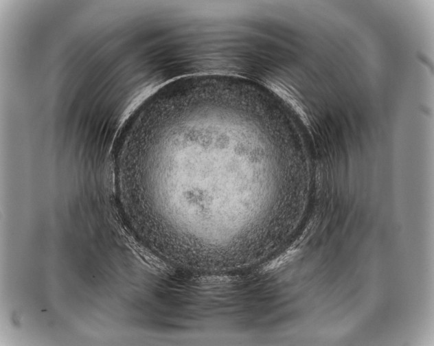 X0000098020925200804111254