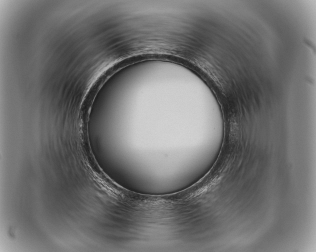 X0000098020926200804111254