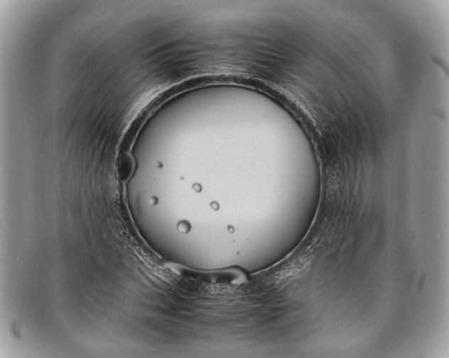 X0000098020927200804111254