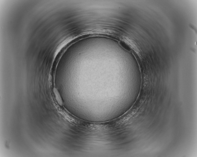 X0000098020928200804111254