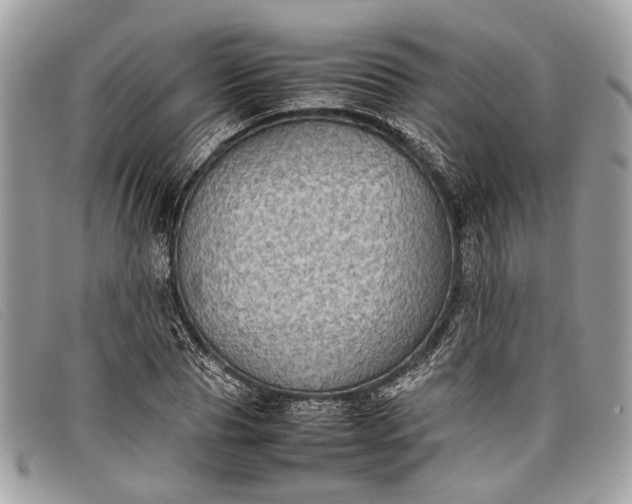 X0000098020929200804111254