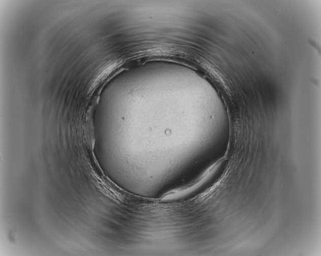 X0000098020930200804111254