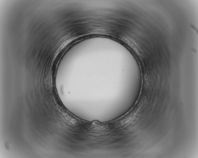 X0000098020931200804111254