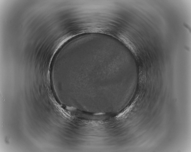 X0000098020932200804111254