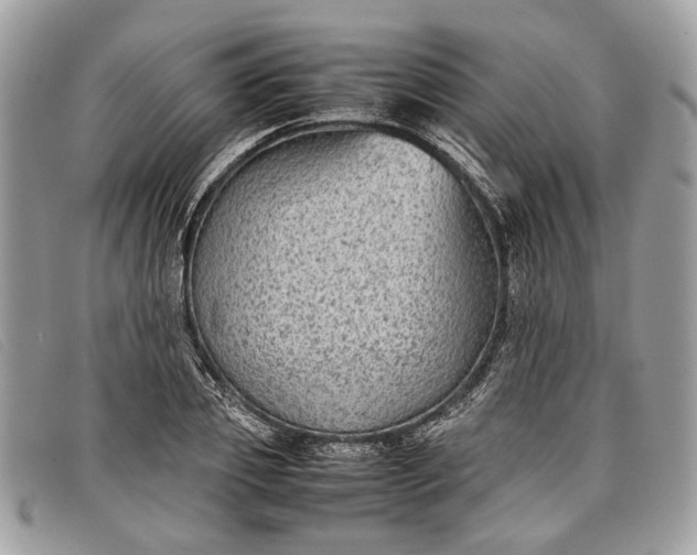 X0000098020933200804111254