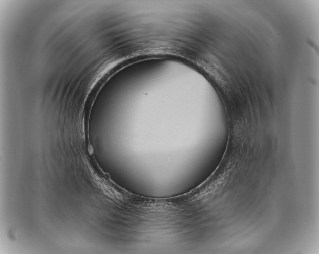 X0000098020934200804111254