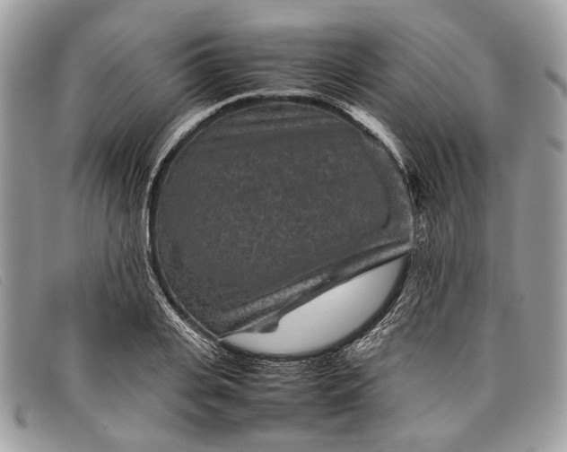 X0000098020935200804111254