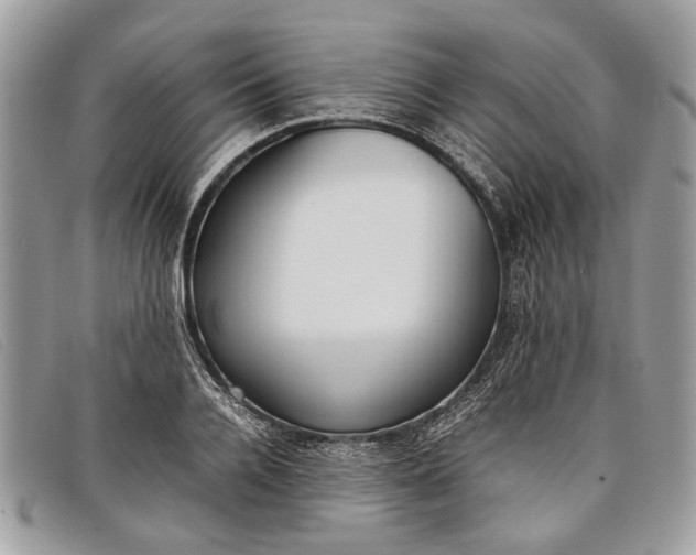 X0000098020936200804111254