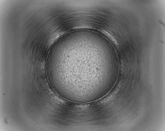 X0000098020937200804111254