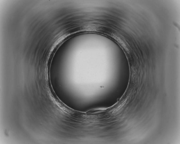 X0000098020939200804111254