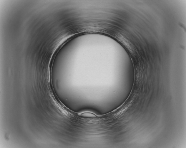 X0000098020940200804111254