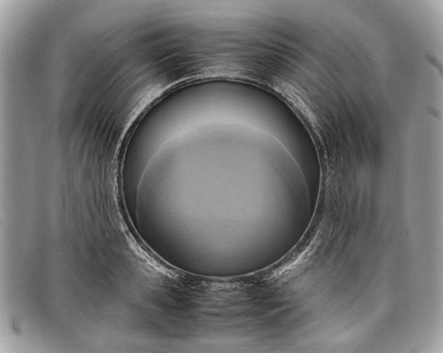 X0000098020941200804111254