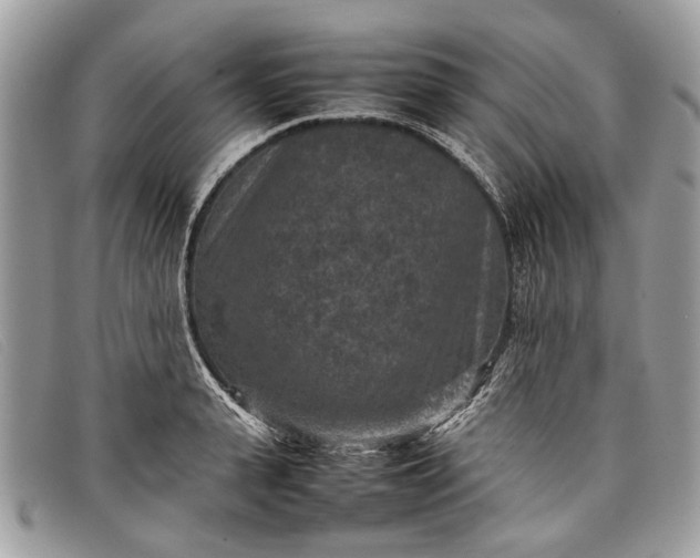 X0000098020943200804111254