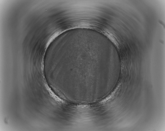 X0000098020944200804111254