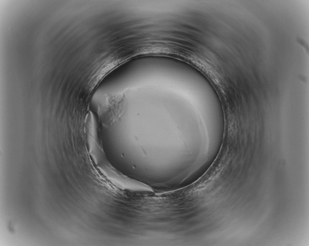 X0000098020945200804111254