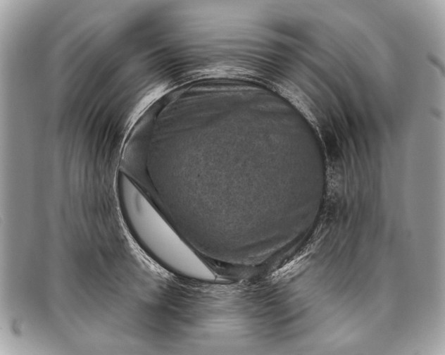 X0000098020946200804111254