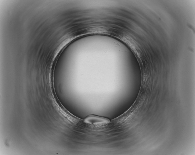 X0000098020947200804111254