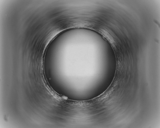 X0000098020948200804111254