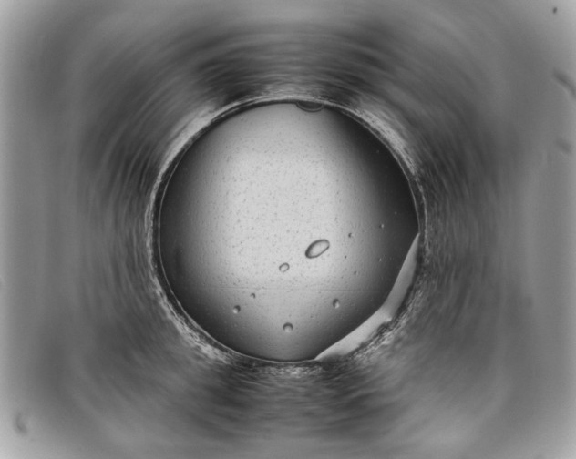 X0000098020949200804111254