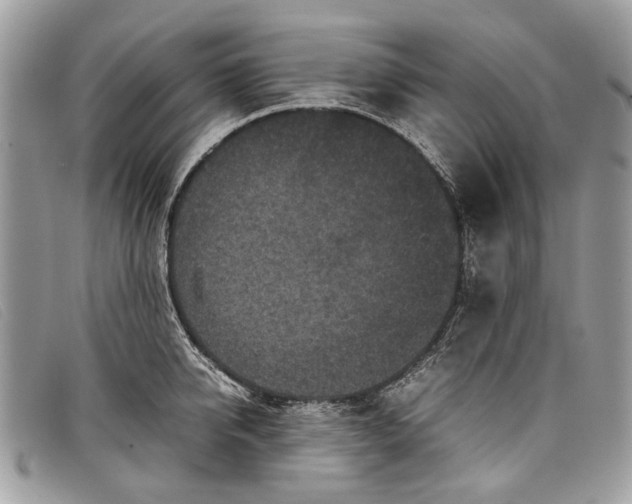 X0000098020950200804111254