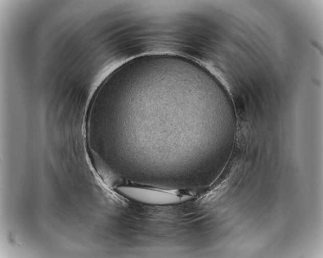 X0000098020951200804111254