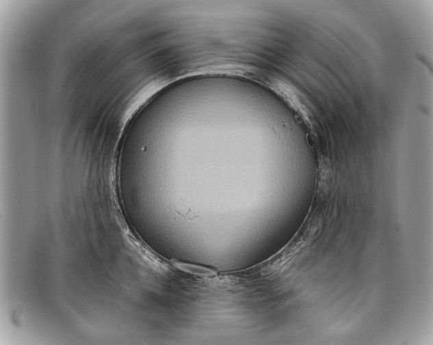 X0000098020952200804111254