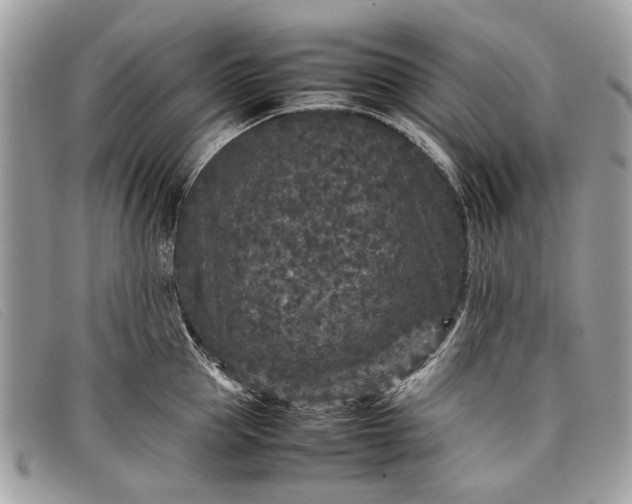 X0000098020953200804111254