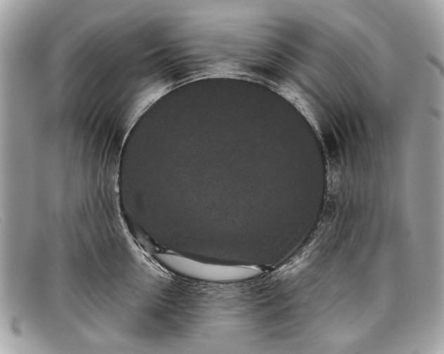 X0000098020954200804111254