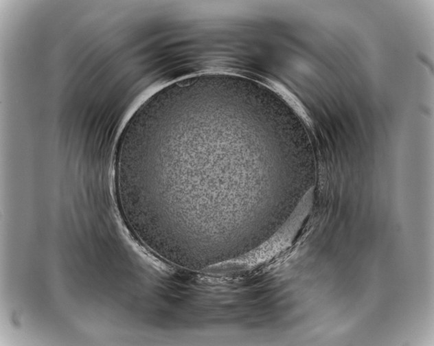 X0000098020955200804111255