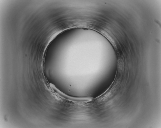 X0000098020956200804111255