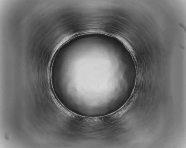 X0000098020957200804111255