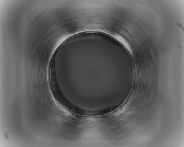 X0000098020958200804111255