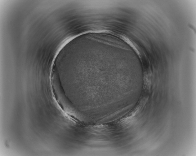 X0000098020959200804111255