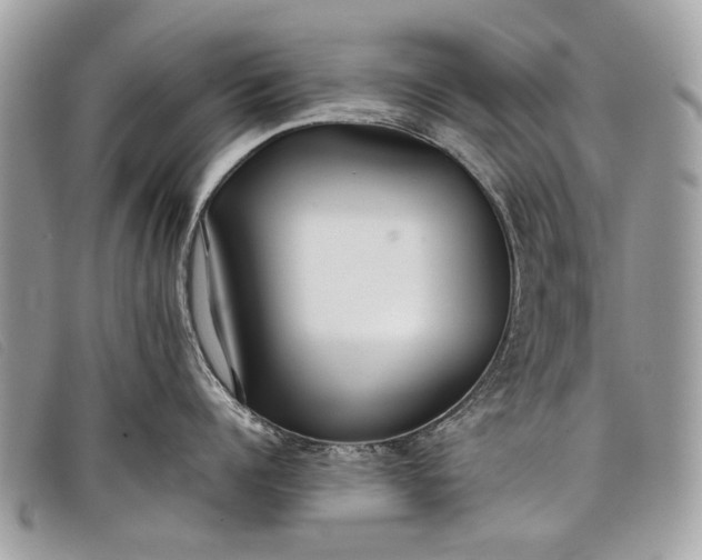 X0000098020960200804111255