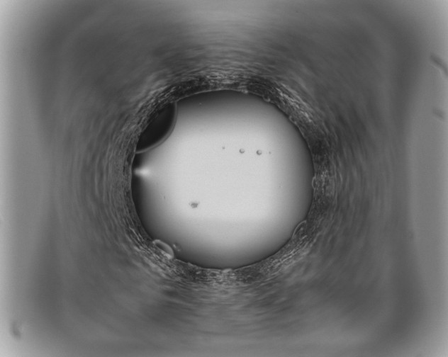 X0000098020961200804111254