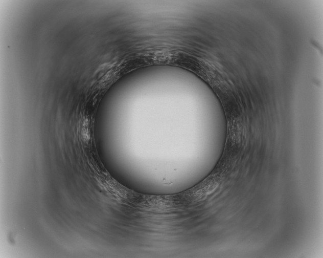 X0000098020962200804111254