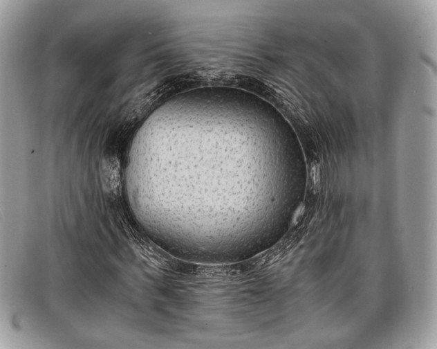 X0000098020963200804111254