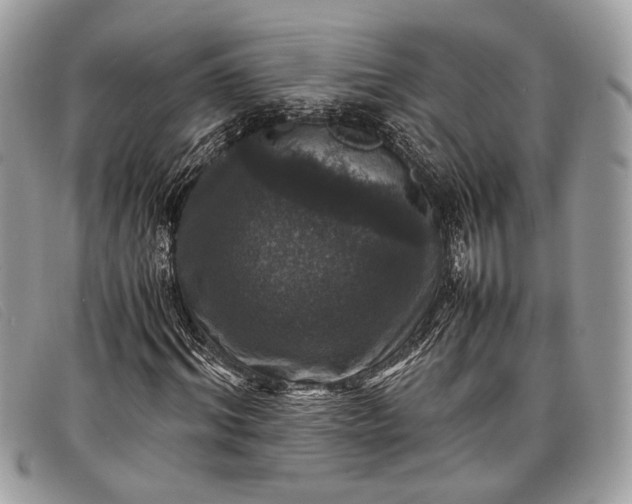 X0000098020964200804111254