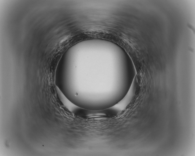 X0000098020965200804111254