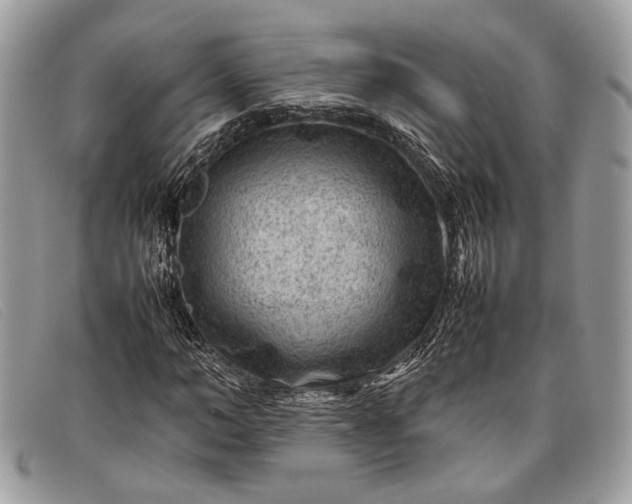 X0000098020966200804111253