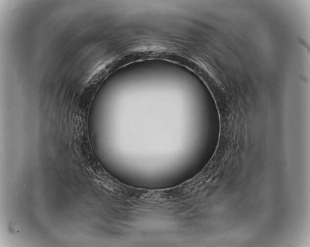 X0000098020967200804111253