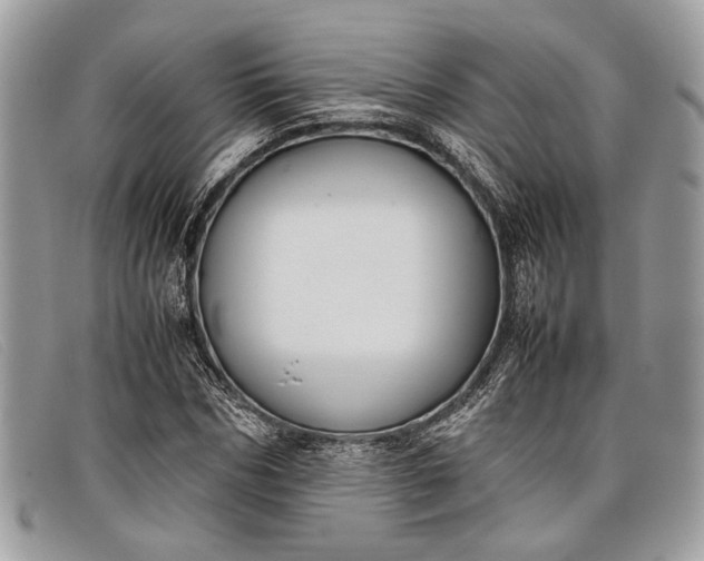 X0000098020970200804111253