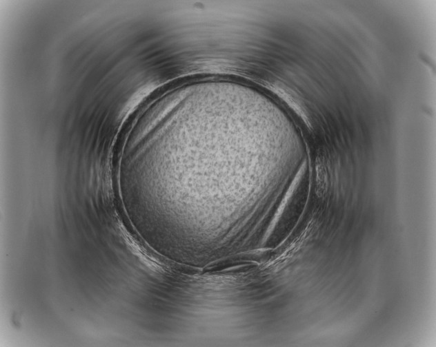 X0000098020972200804111253