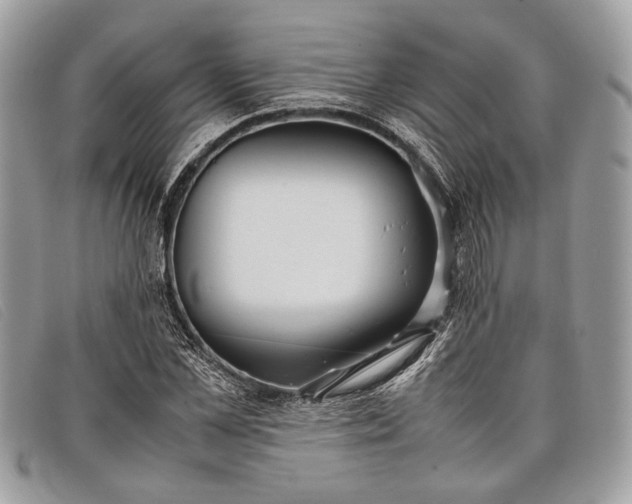 X0000098020973200804111253